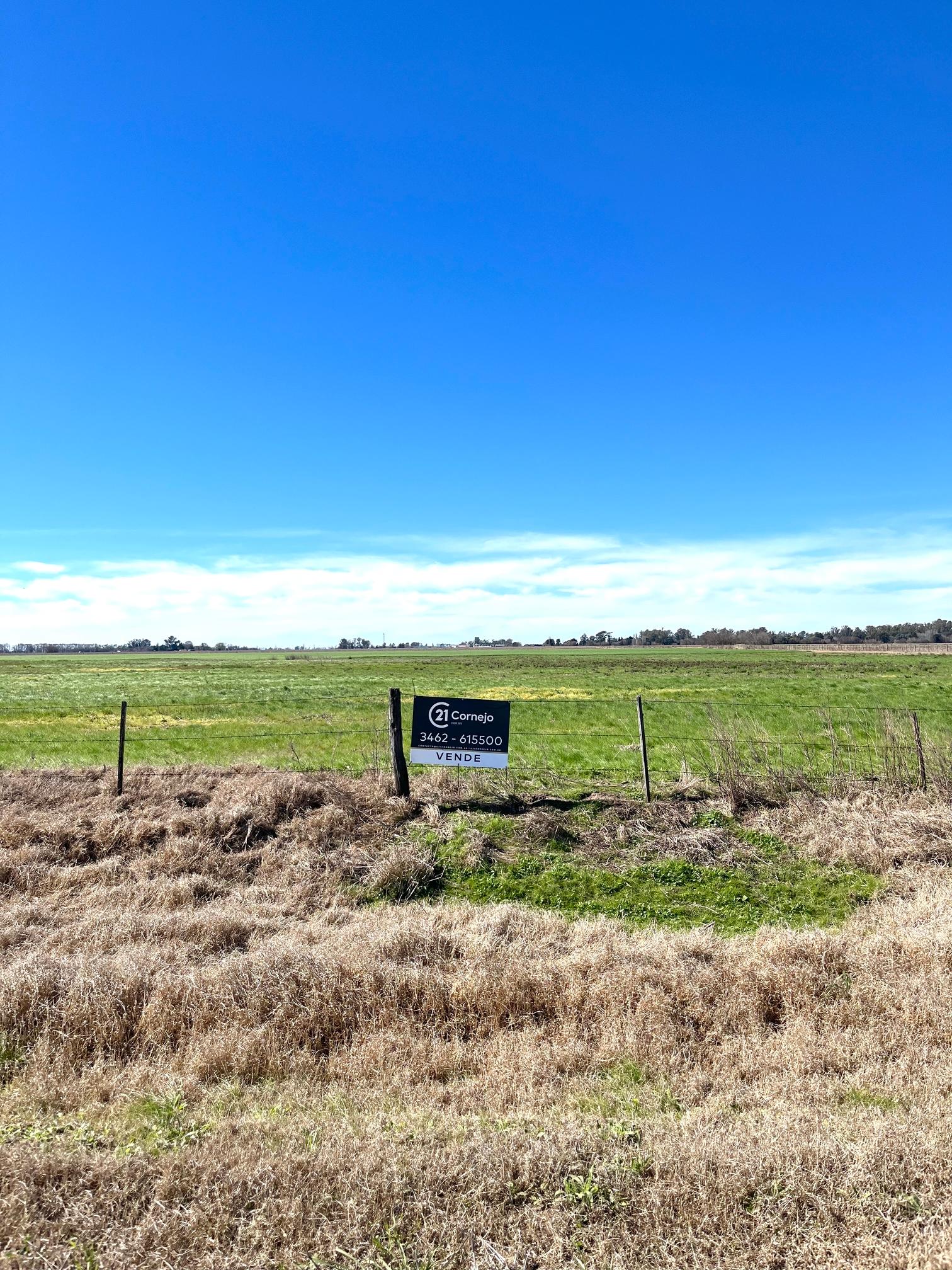 CAMPO 13,5 HA - VENADO TUERTO — foto 1