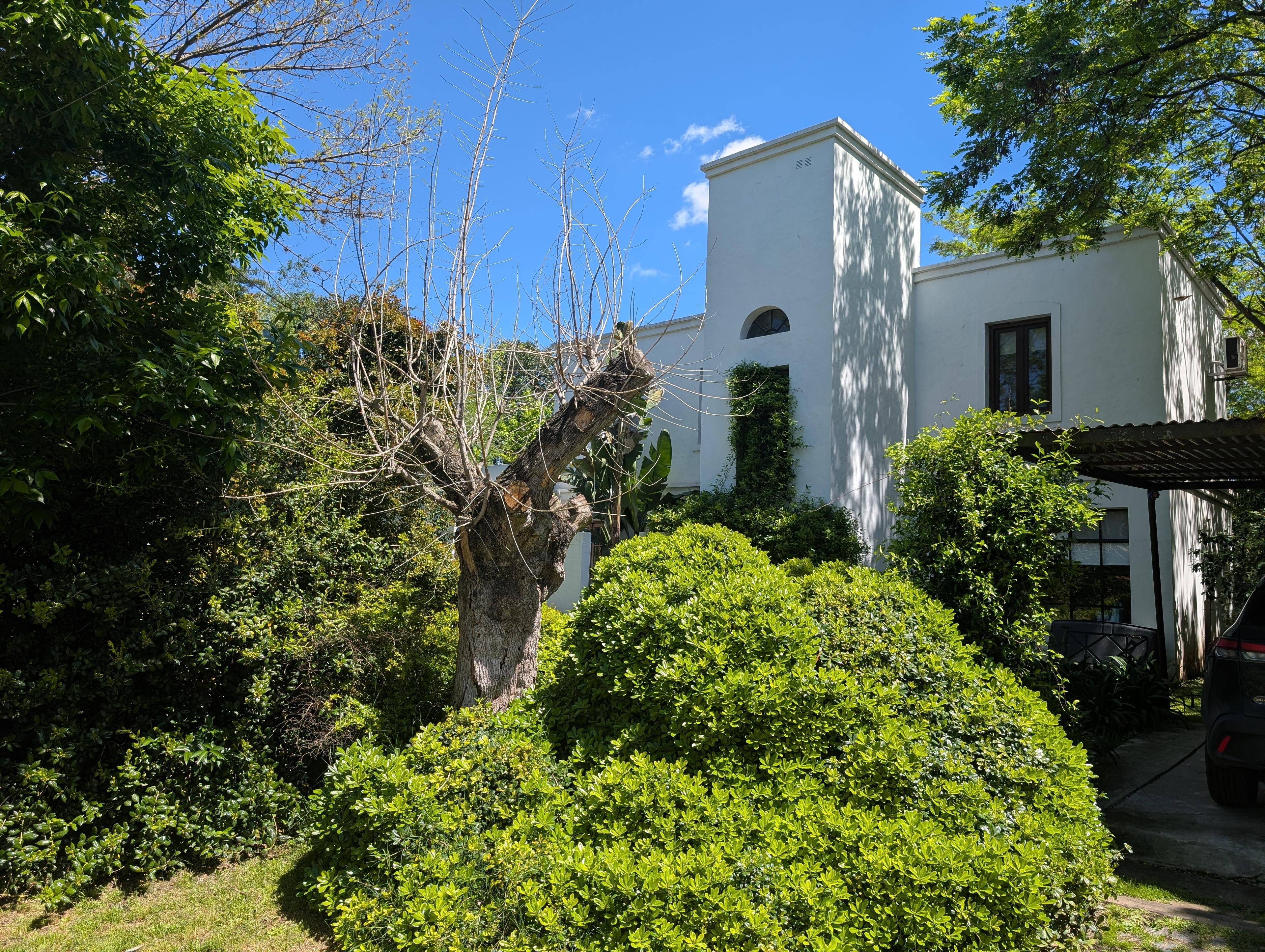 Casa en temporal en Bella Vista — foto 1