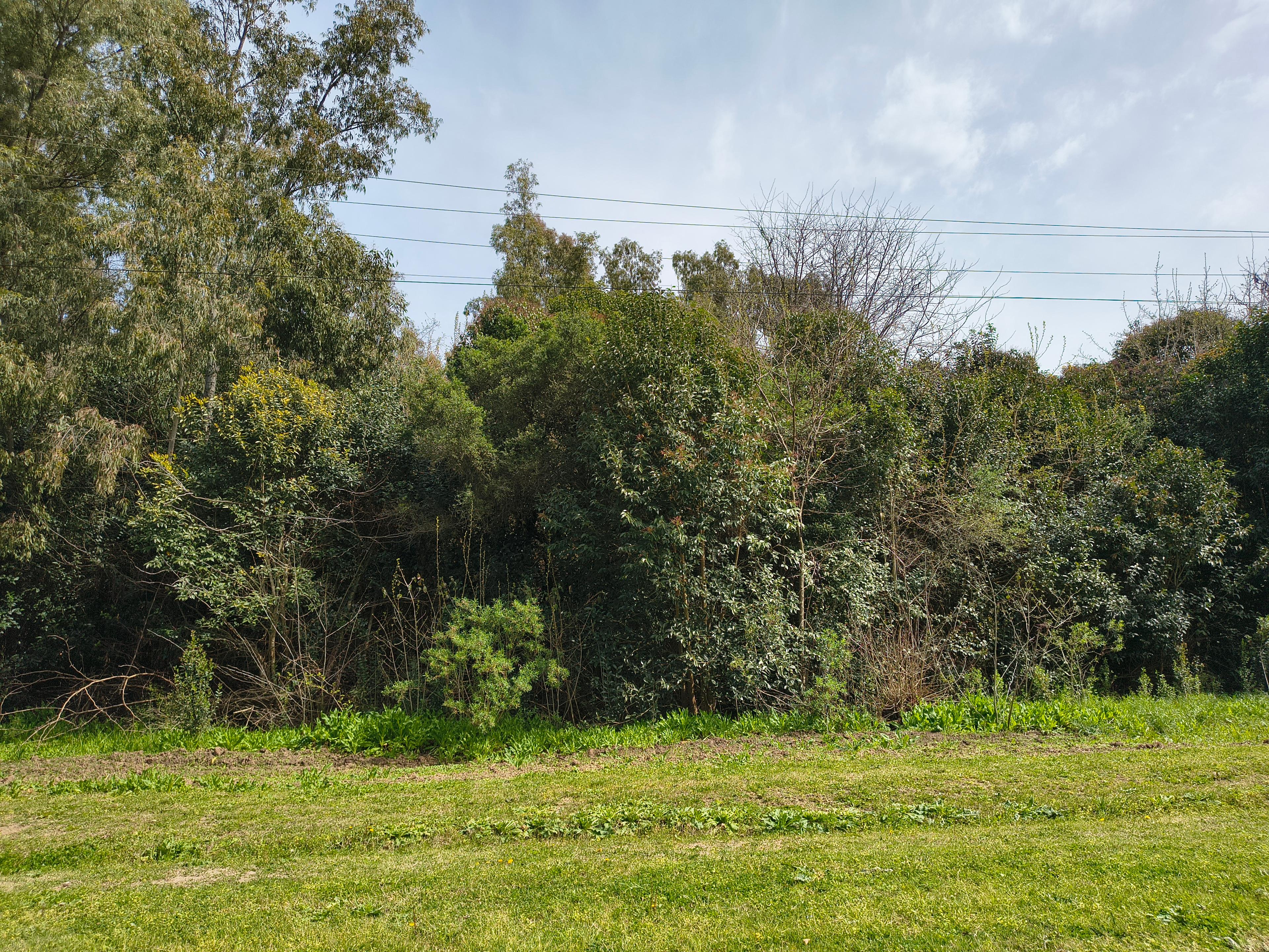 Terreno en venta en Lima — foto 1